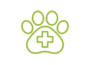 Healthcare Organization