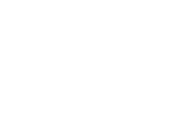 professional services