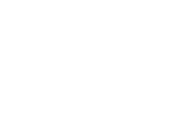 professional services